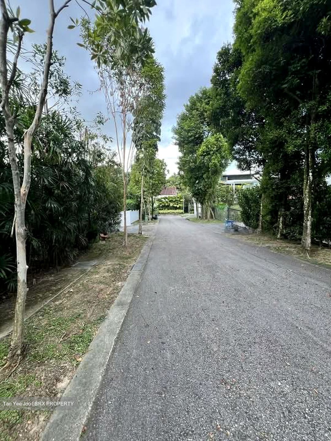 Morley Road (D10), Detached #556216291